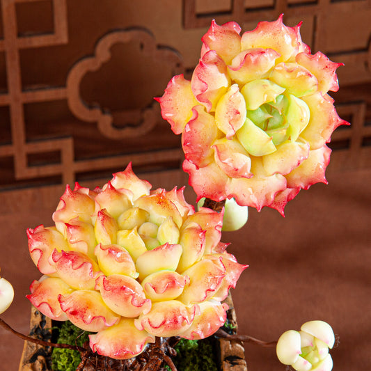 Handmade Clay Succulent Plant Sculpture B007