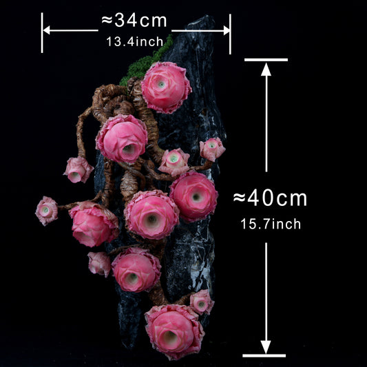 Peach Rose Succulent(Red)