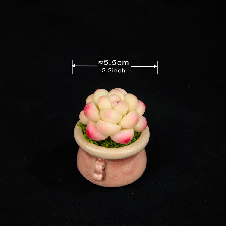 Peach Egg(Set)