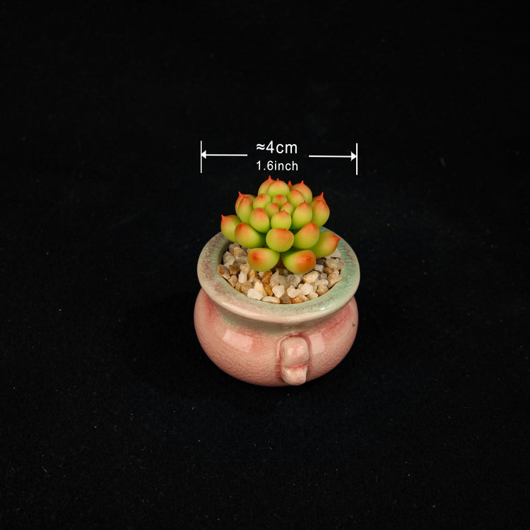 Peach Egg(Set)