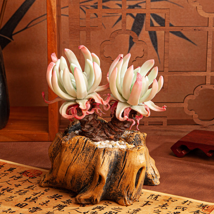 Handmade Clay Succulent Plant Sculpture B010
