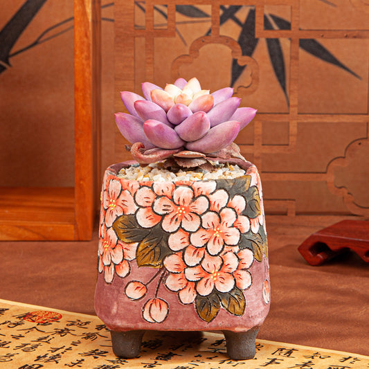 Handmade Clay Succulent Plant with Traditional Chinese Floral Ceramic Pot SH001