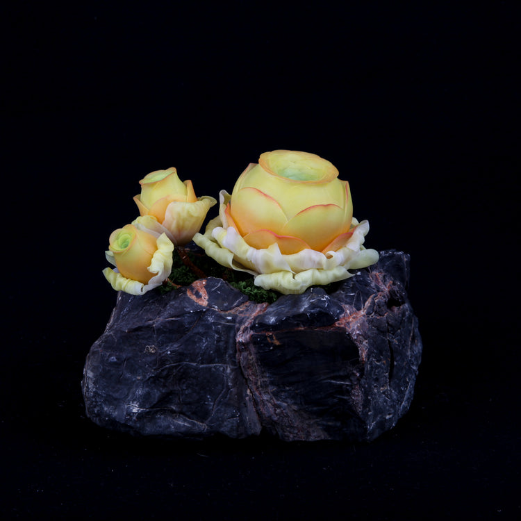Greenovia(Yellow)