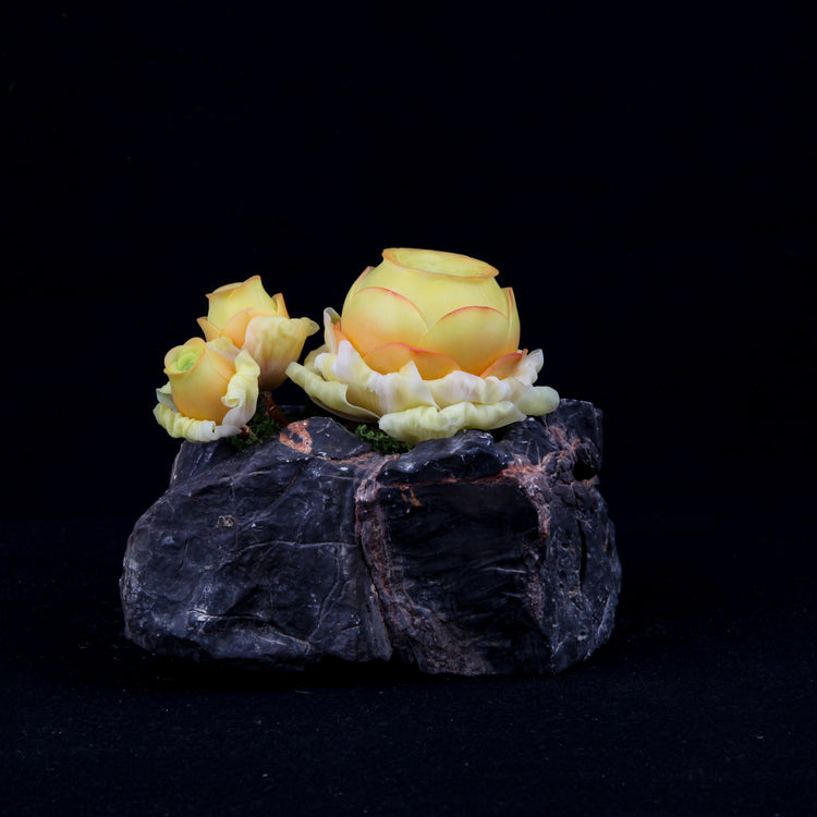 Greenovia(Yellow)