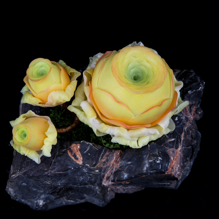 Greenovia(Yellow)