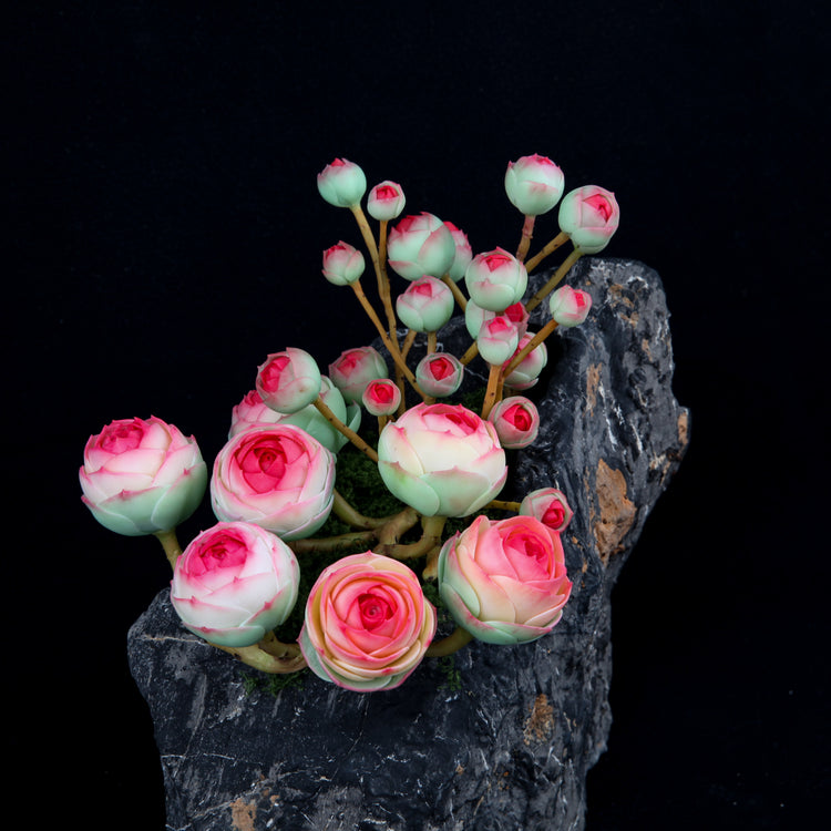 Rugby Rose