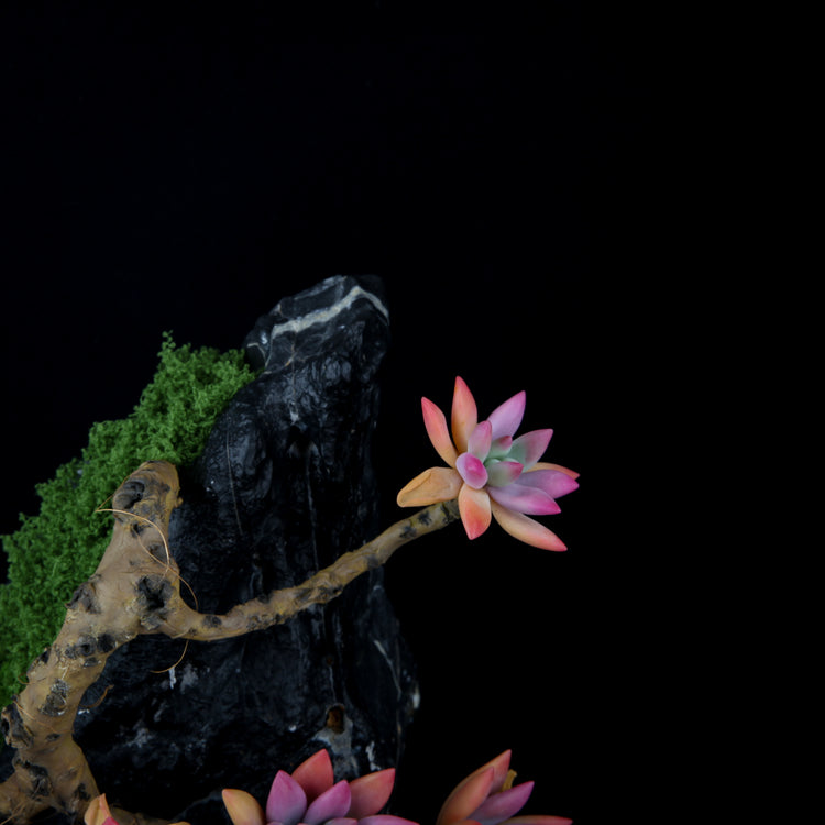 Red Child Lotus