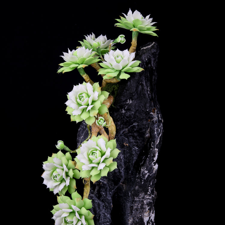 Frost Lotus