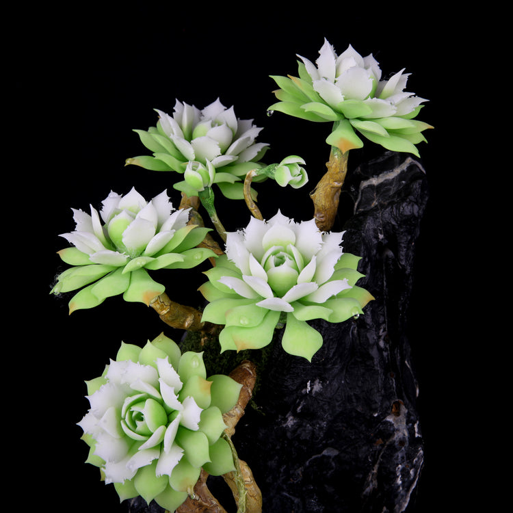 Frost Lotus