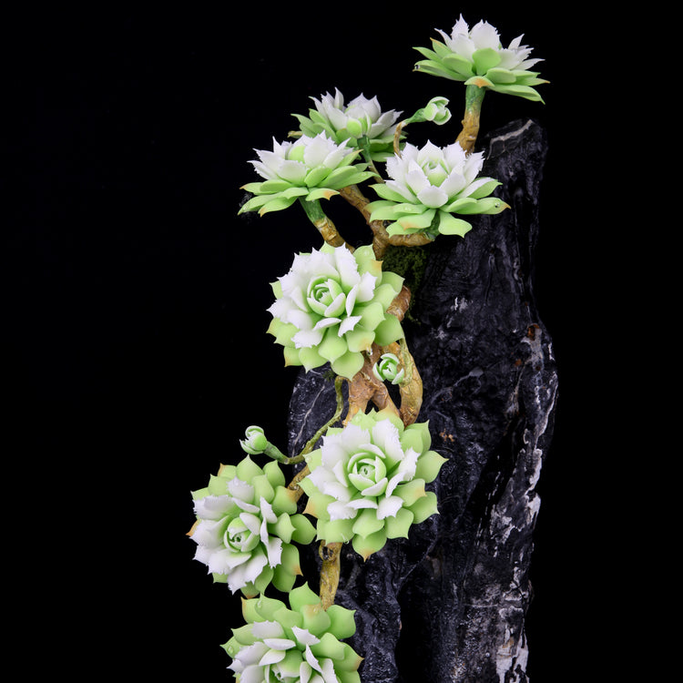 Frost Lotus
