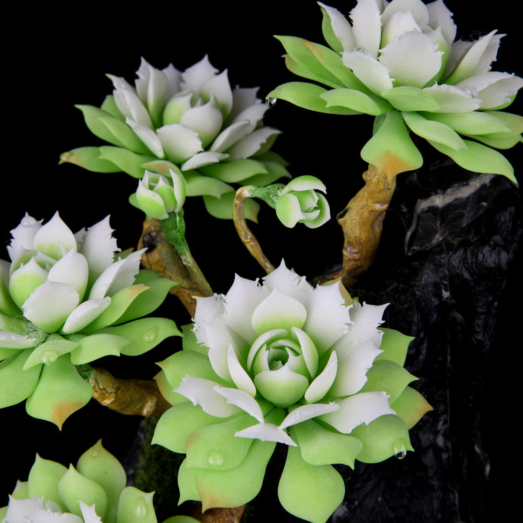 Frost Lotus