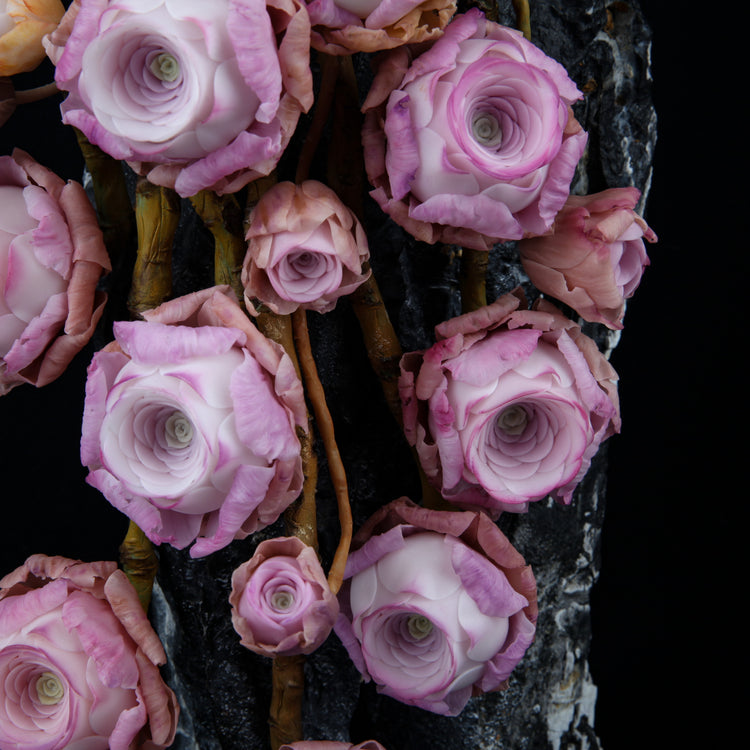 Peach Rose Succulent(Pink)
