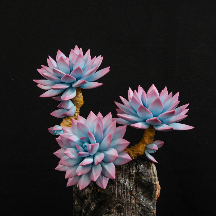 Pink Bluebird