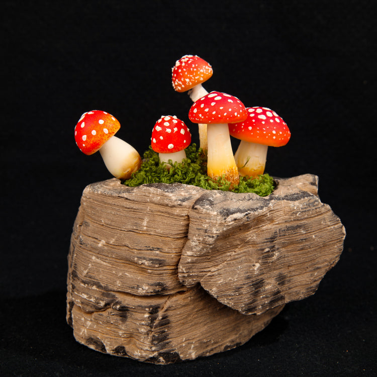 Mushrooms