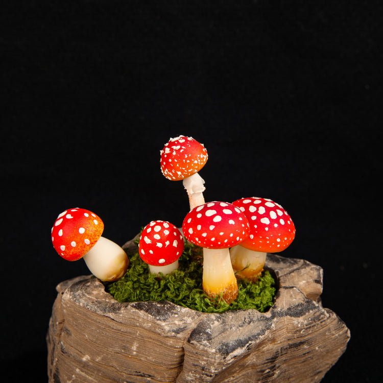 Mushrooms