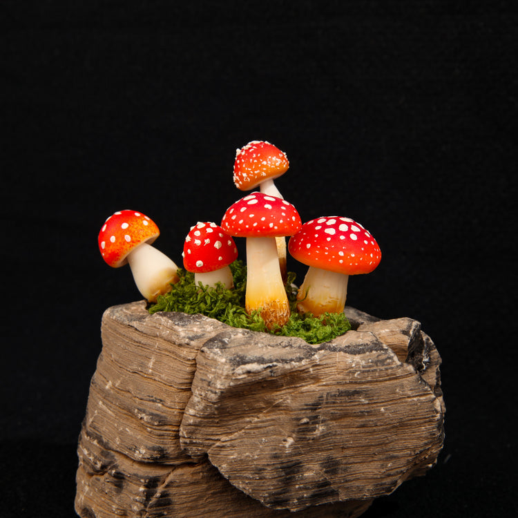 Mushrooms