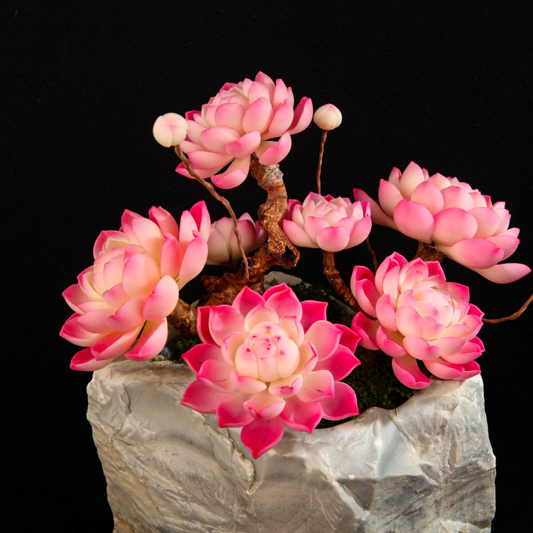 Red Child Lotus Succulent