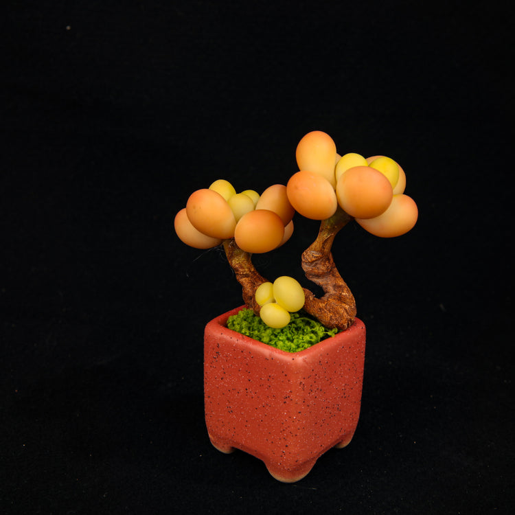 Peach Egg(Set)