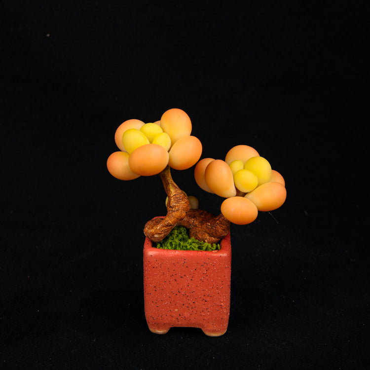 Peach Egg(Set)