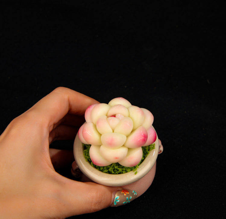 Peach Egg(Set)