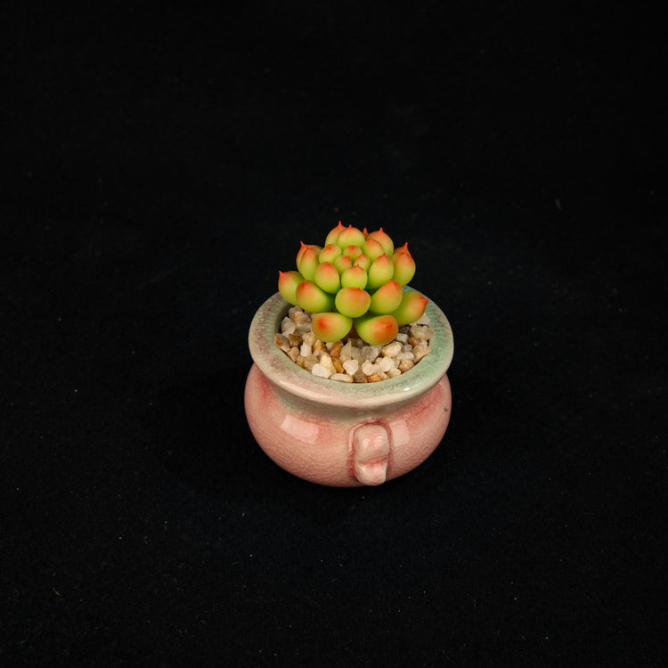 Peach Egg(Set)