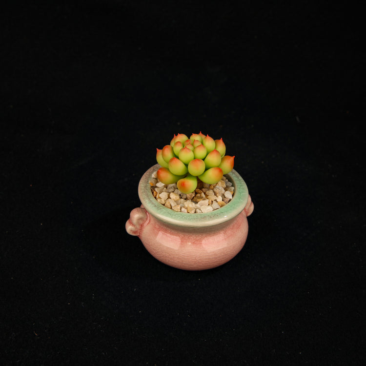 Peach Egg(Set)