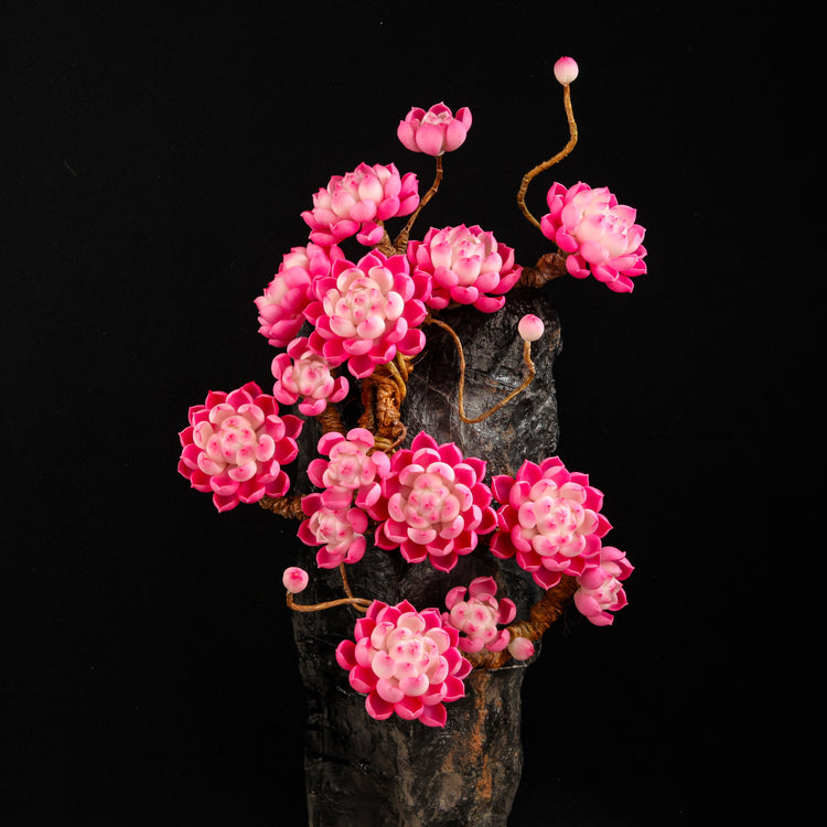 Sakura Snow(XL)