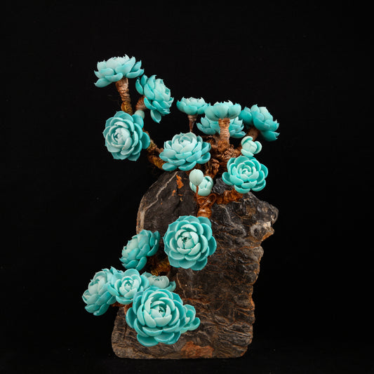 Child-Holder Lotus(XL)