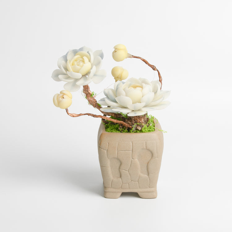 Galagaga Handmade Artificial Succulent B006