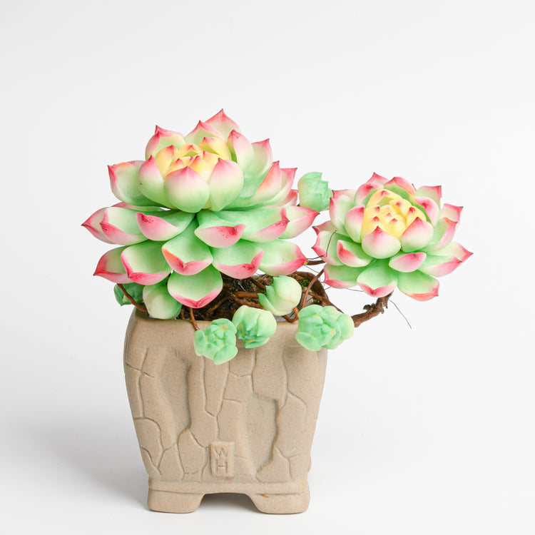 Galagaga Handmade Artificial Succulent B007