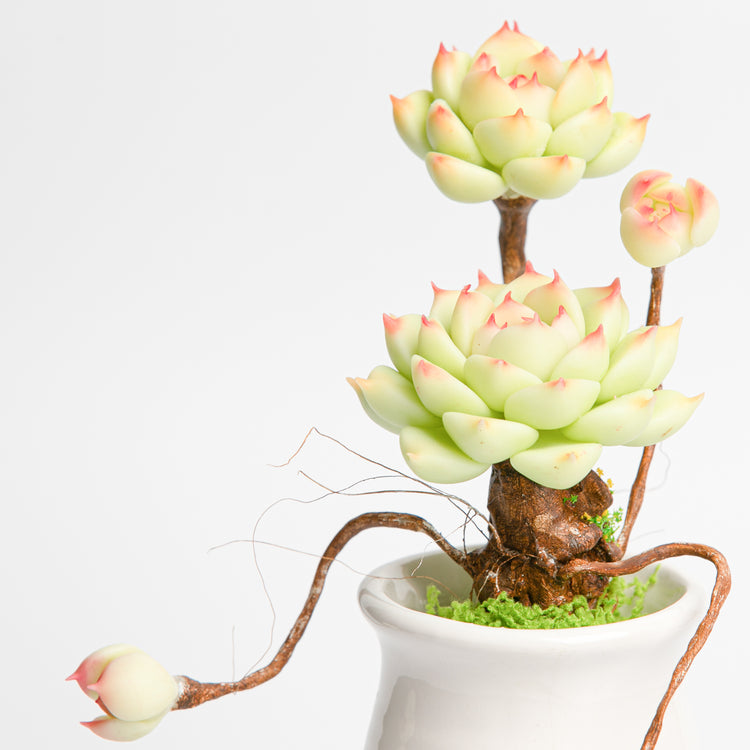 Galagaga Handmade Artificial Succulent B004