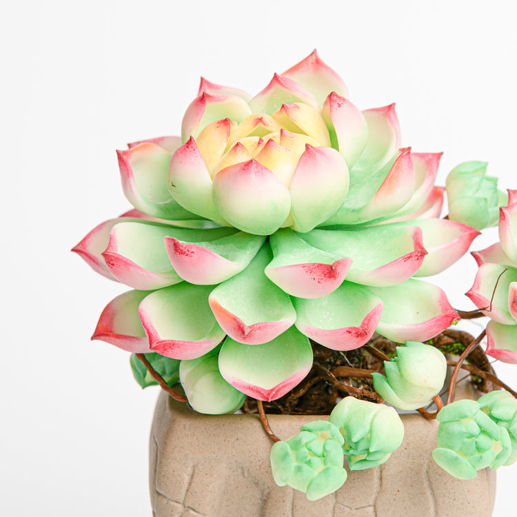 Galagaga Handmade Artificial Succulent B007