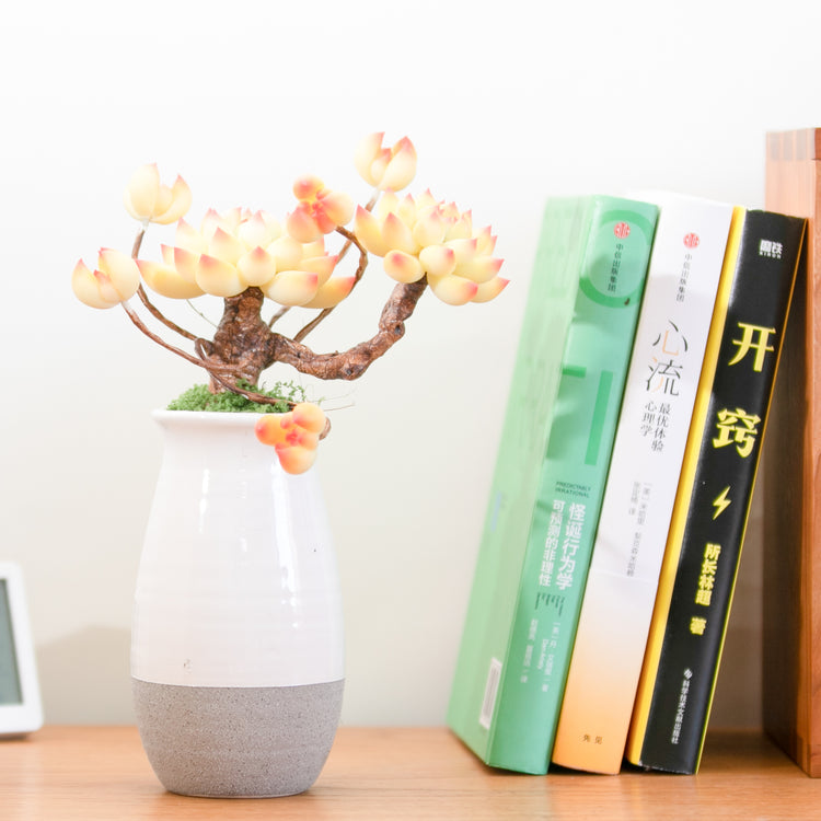 Galagaga Handmade Artificial Succulent C008