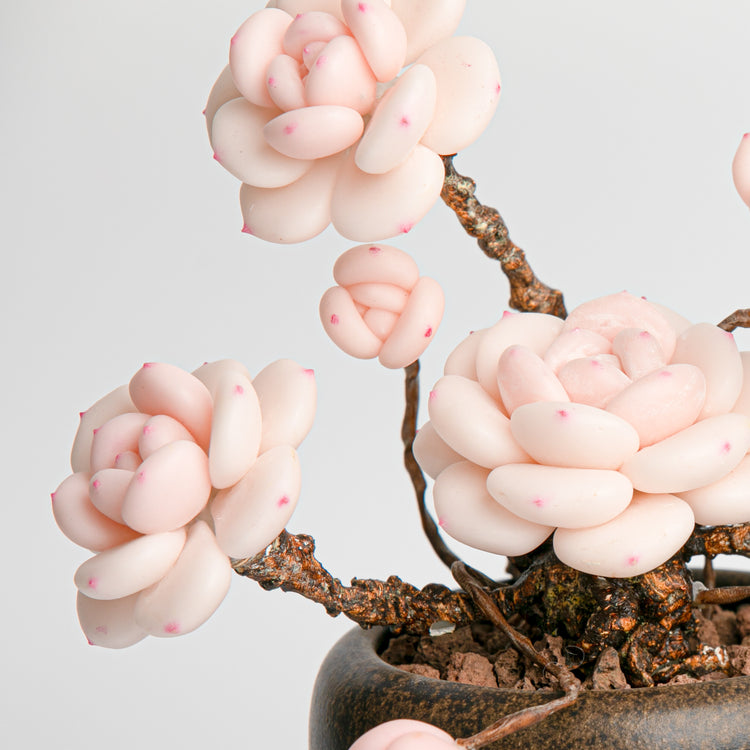 Galagaga Handmade Artificial Succulent C007