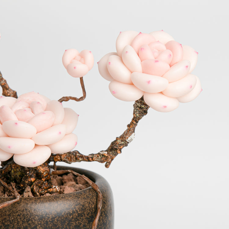 Galagaga Handmade Artificial Succulent C007