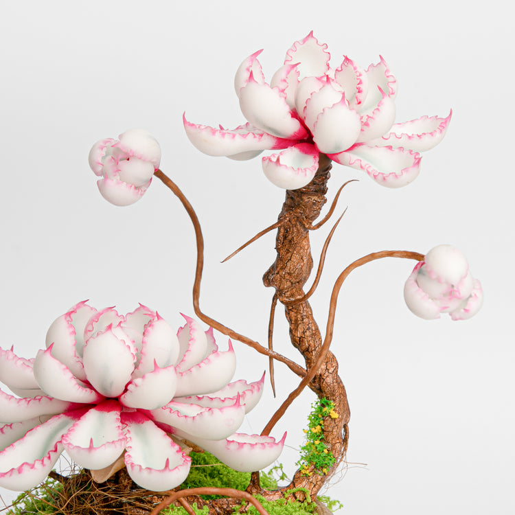 Galagaga Handmade Artificial Succulent C001