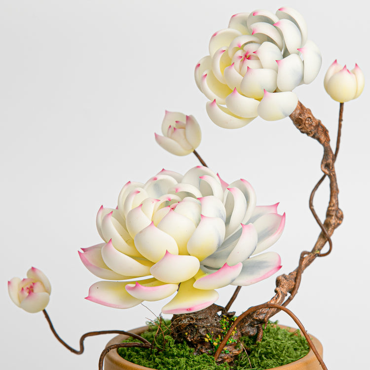Galagaga Handmade Artificial Succulent C005