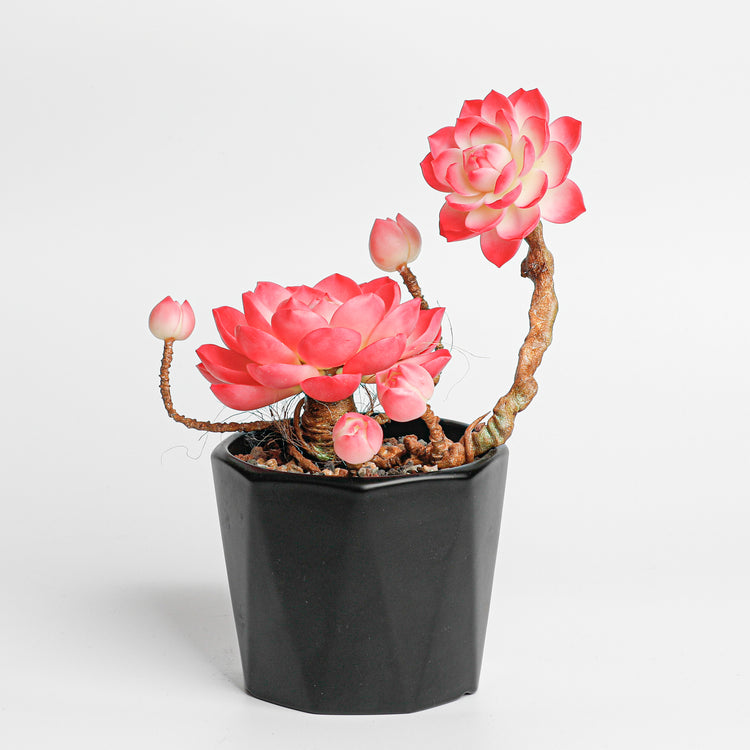 Galagaga Handmade Artificial Succulent C003 - Handmade by Galagaga Studio - clay succulent