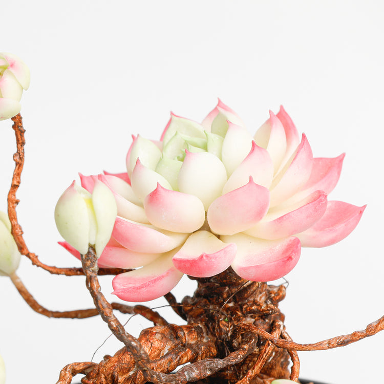 Galagaga Handmade Artificial Succulent C002