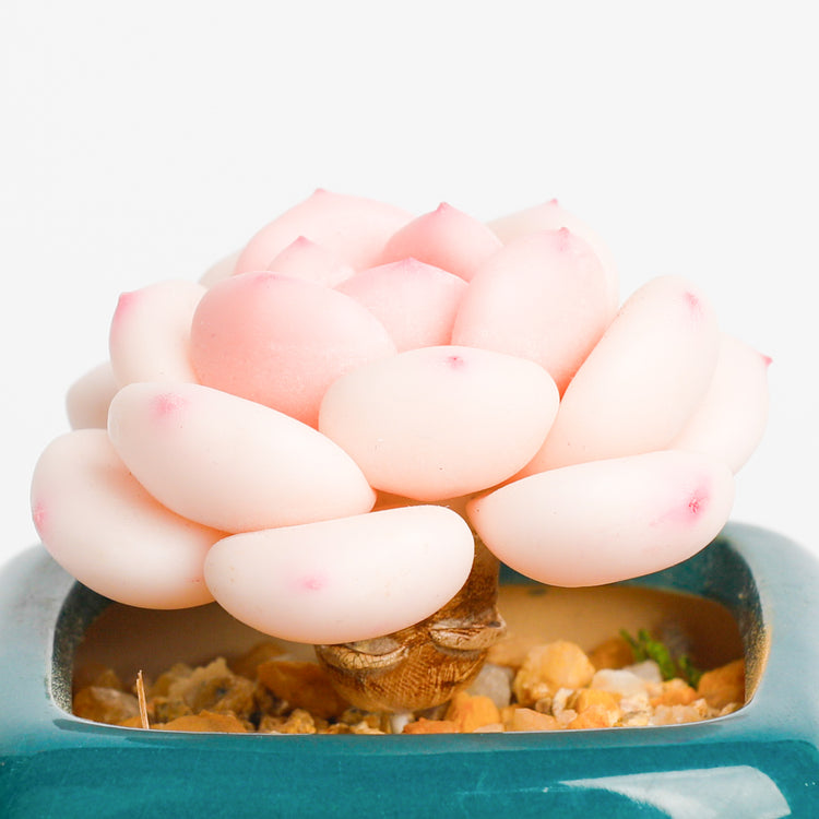 Galagaga Handmade Artificial Succulent Plant A002