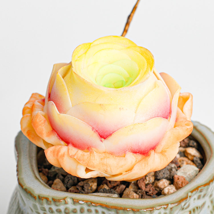 Galagaga Handcrafted Artificial Succulent Plant in Teal Ceramic Pot, Greenovia