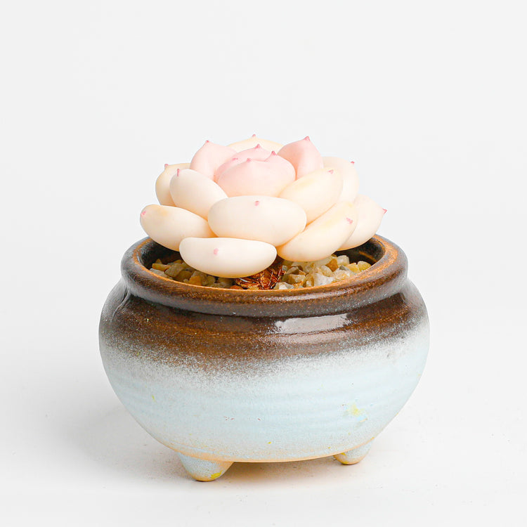 Galagaga Handcrafted Artificial Succulent Plant peachegg