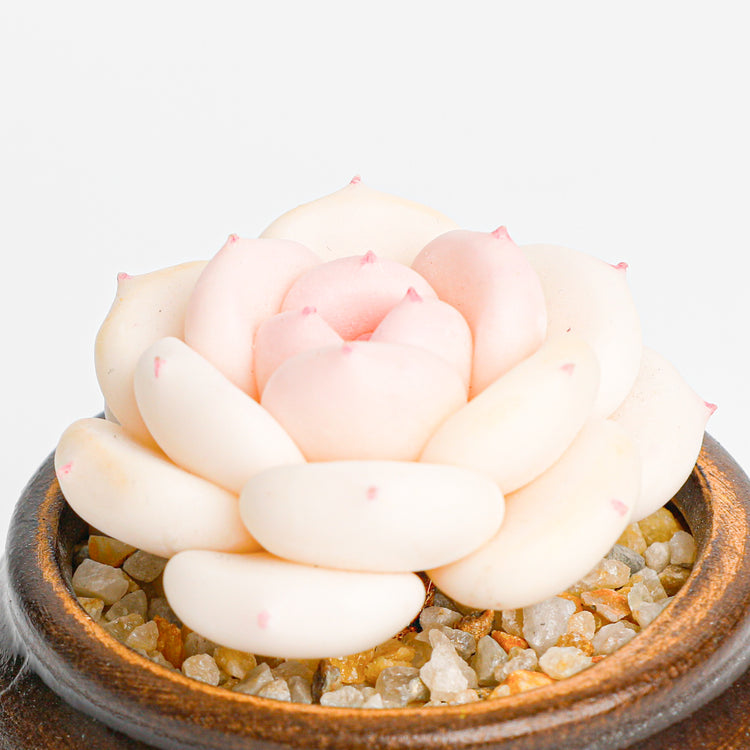 Galagaga Handcrafted Artificial Succulent Plant peachegg