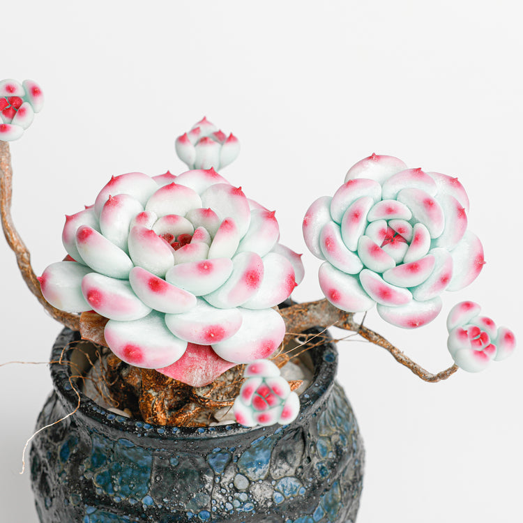 Galagaga Handmade Artificial Succulent B005