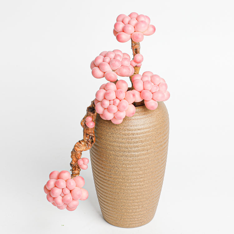 Galagaga Handmade Artificial Succulent C010