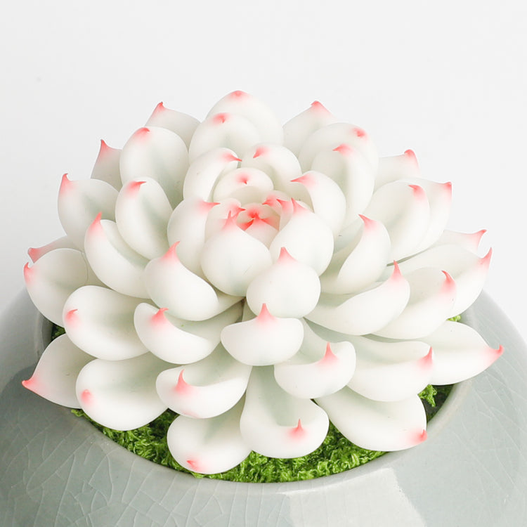 Galagaga Handmade Artificial Succulent D001