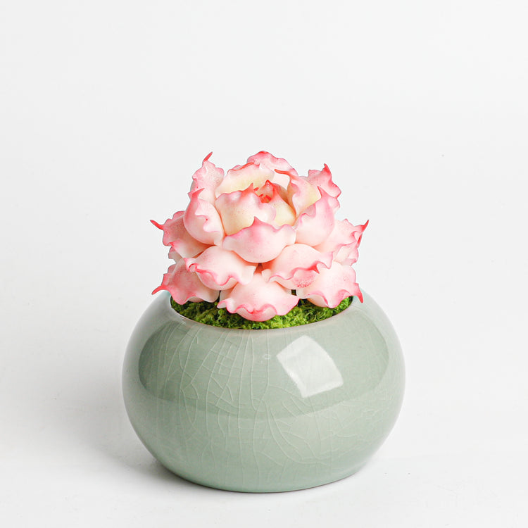 Galagaga Handmade Artificial Succulent D005