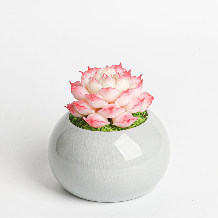 Galagaga Handmade Artificial Succulent D003