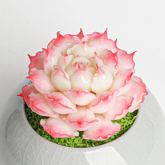 Galagaga Handmade Artificial Succulent D003