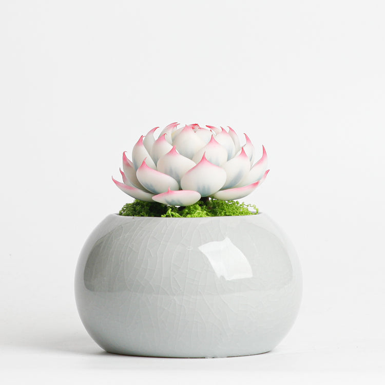 Galagaga Handmade Artificial Succulent D002